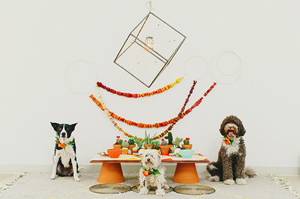 How to make a puppy birthday cake