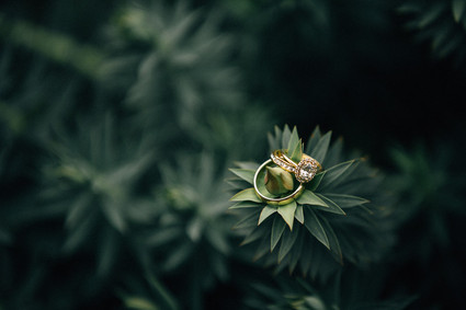 Wedding rings