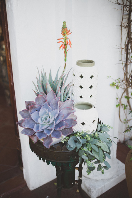 Succulent decor