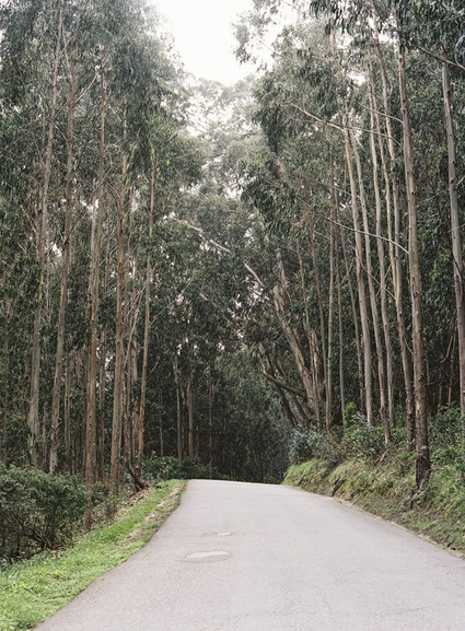 Outdoor wedding portrait