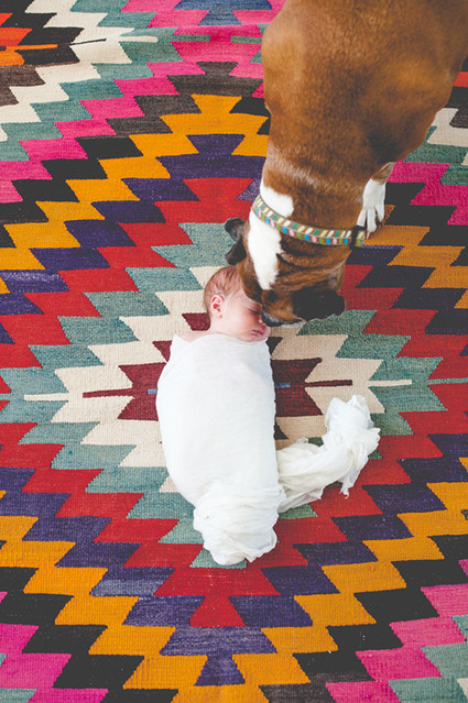 Newborn photos and geo rug