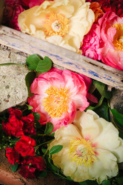 peonies forever