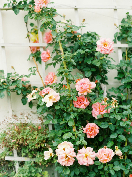 Modern garden wedding inspiration