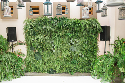 Green wall Inspiration