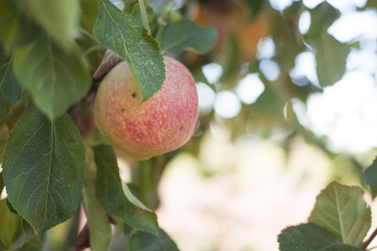 Back to school shoot