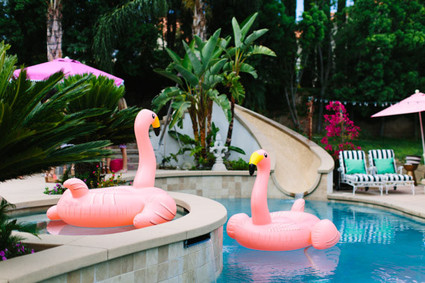 Flamingo pool floats