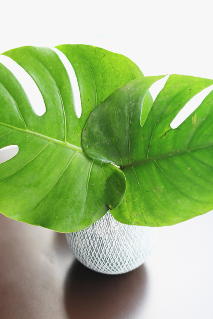 Destination Tulum wedding