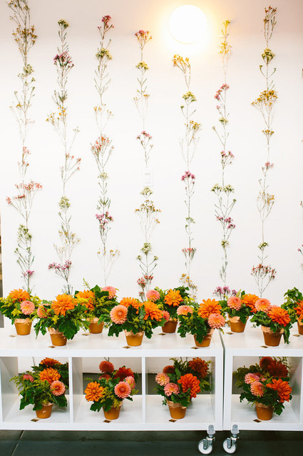 Floral backdrop
