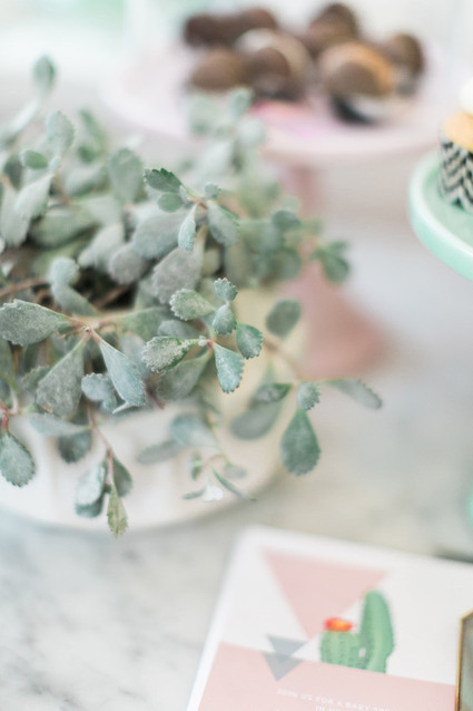 succulent decor