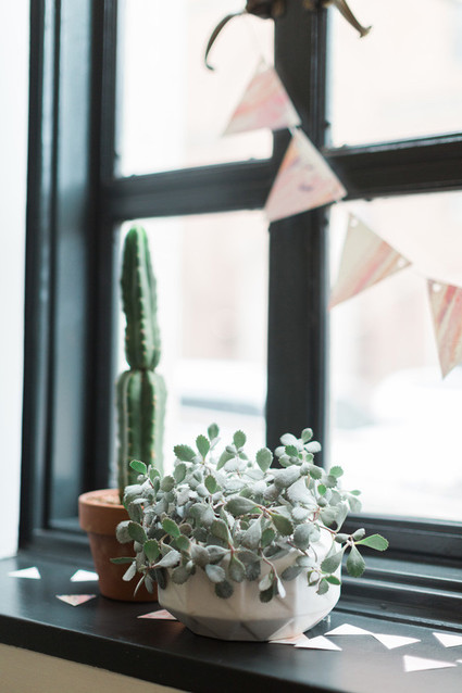 cactus baby shower Inspiration