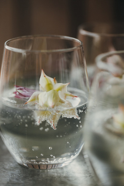 Wedding cocktail