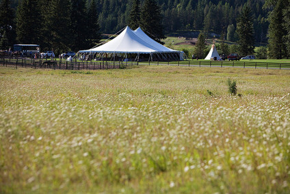 Bar W Guest Ranch