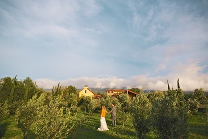 Casala Olive Farm Inspiration