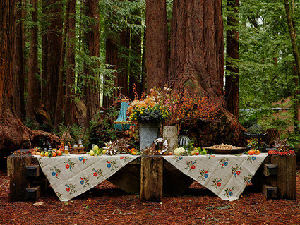 Rustic fall party in the redwoods