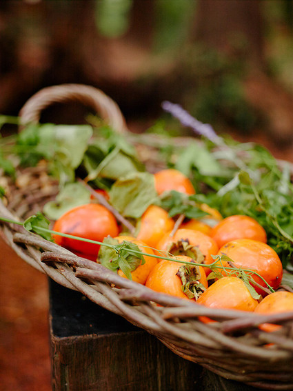 basket of persimmons