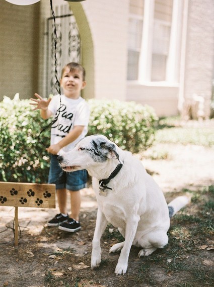 puppy themed 3rd birthday