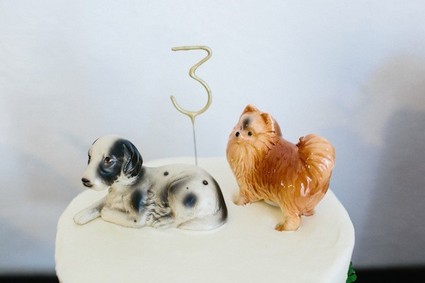 doggy cake
