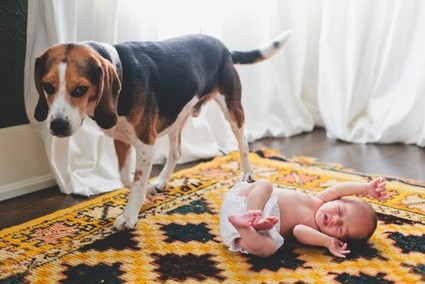 lifestyle newborn photos