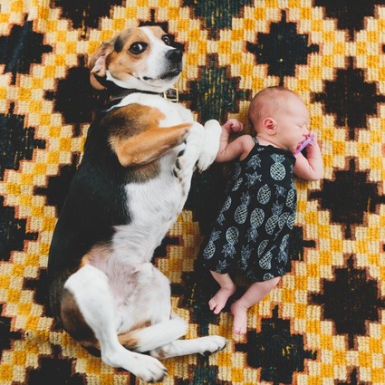 lifestyle newborn photos