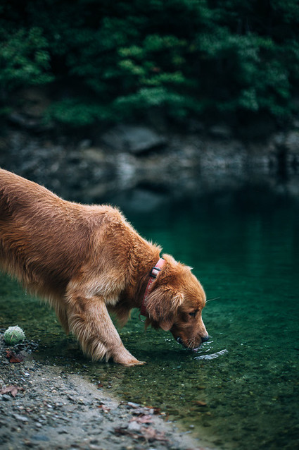 rock quarry maternity photos