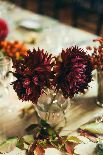 Red dahlia florals