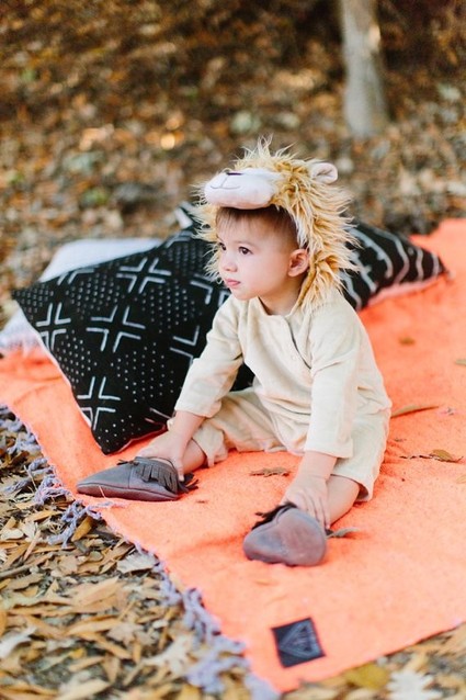 lion costume