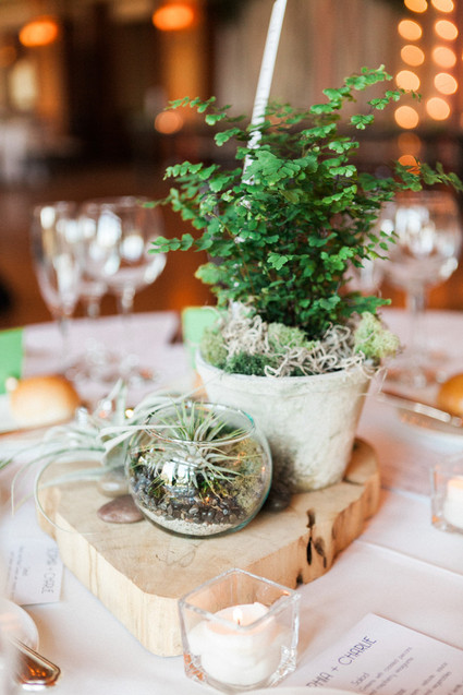 Plant centerpieces Inspiration