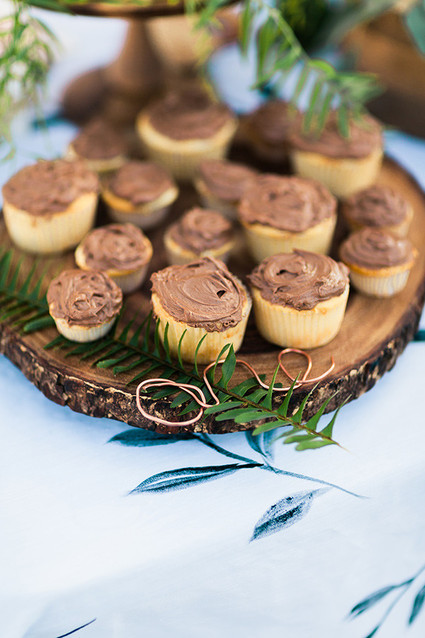 chocolate cupcakes