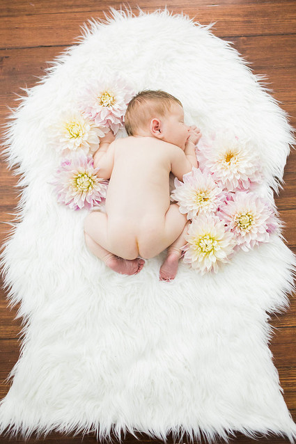 floral newborn photos