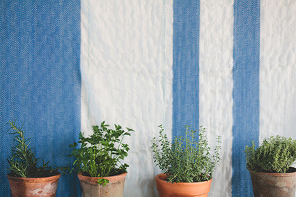 blue and white backdrop