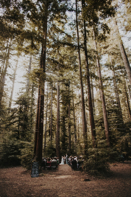 Camp themed wedding