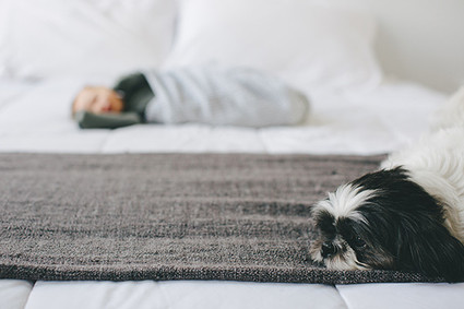 Park Slope newborn photos at home