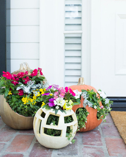 Pumpkin planter
