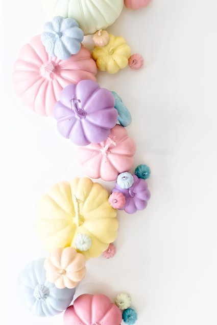 Colorful pumpkins