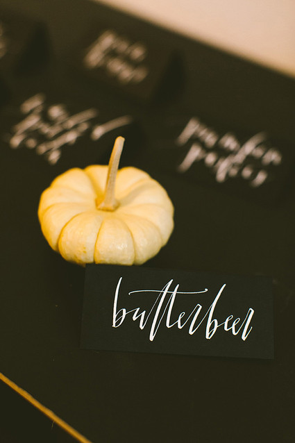 Harry Potter 1st birthday Inspiration