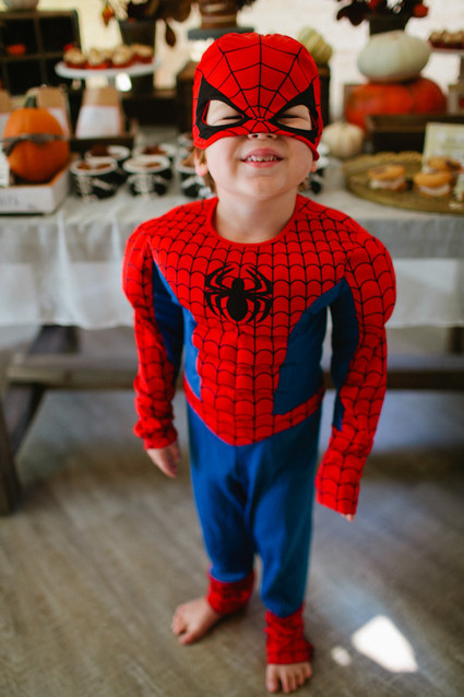 spiderman costume Inspiration