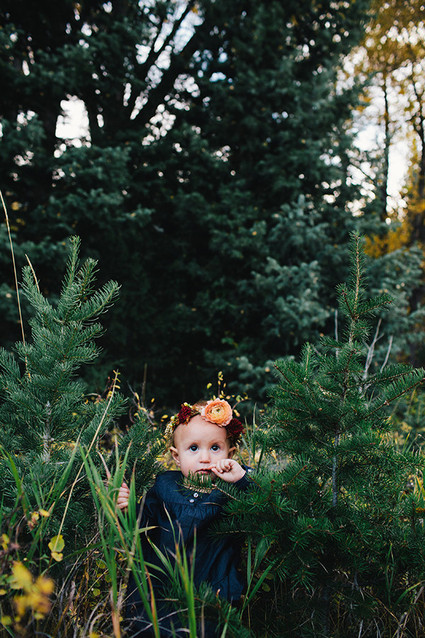 fall family photos