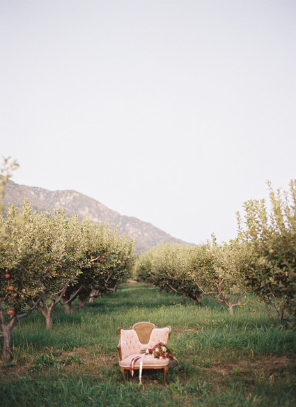 Bridal bouquet Inspiration