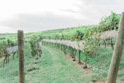 Montaluce Winery and Estates Inspiration