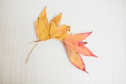 DIY fall leaf crown
