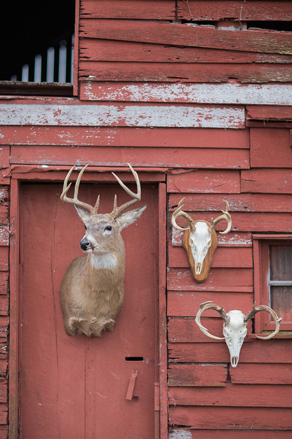 Vintage winter wedding inspiration