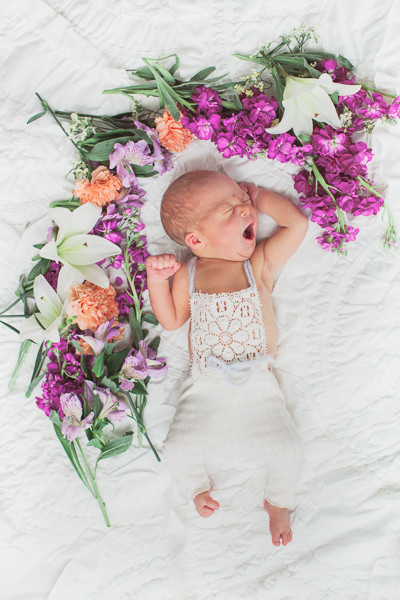 floral styled newborn photos Inspiration