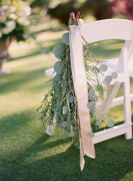 Eucalyptus decor