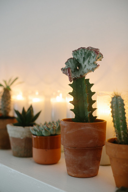 Desert holiday mantel