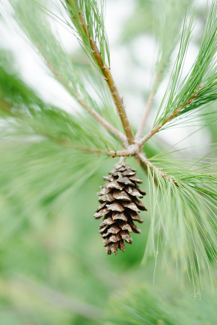 Lumberjack birthday party