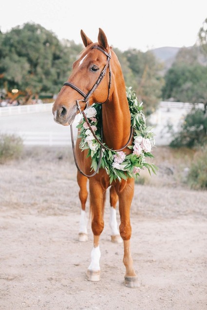 Equestrian themed wedding