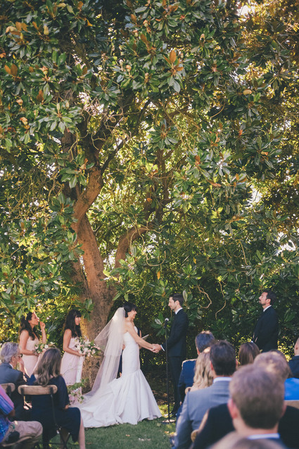 California vineyard wedding
