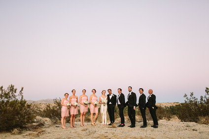 Wedding party portrait