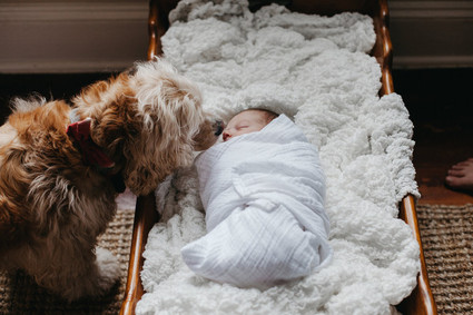 lifestyle newborn photos