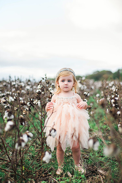 Cotton field family photos